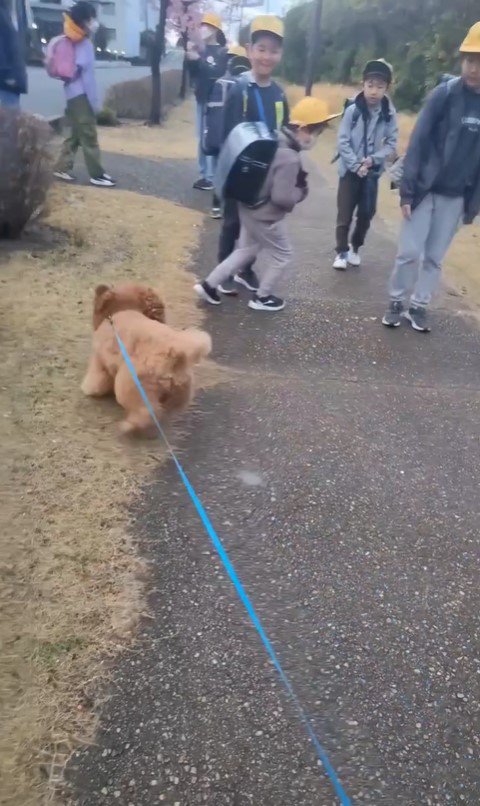 小学生に遭遇したぷぅ太郎5