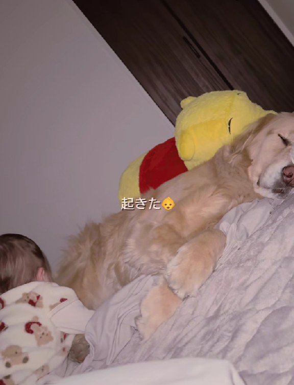 再び起き上がるも…