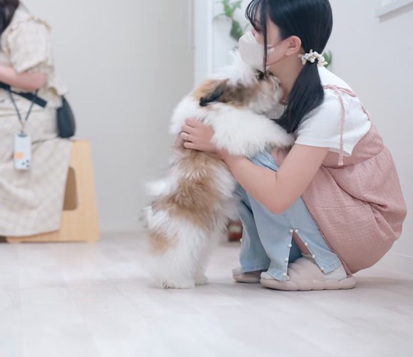 トリマーにじゃれつく子犬