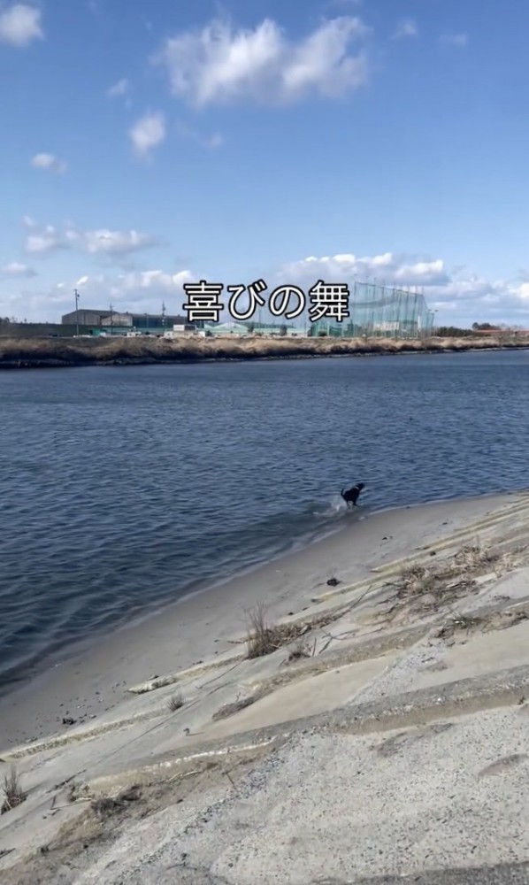 楽しそう