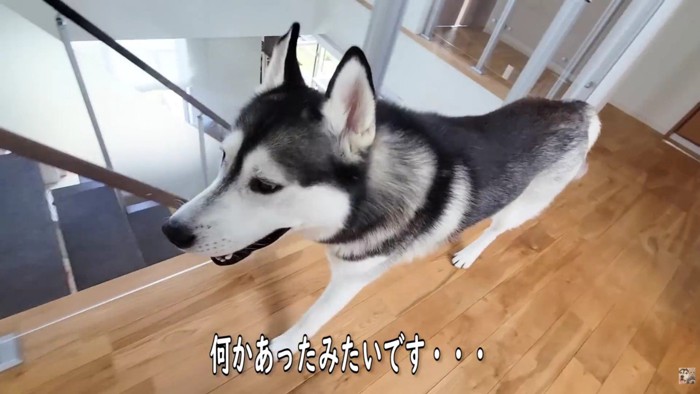 「大変です…!」