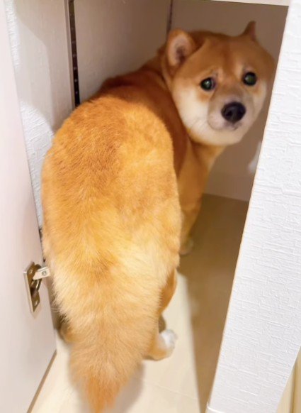 「雷鳴ったよね…？」