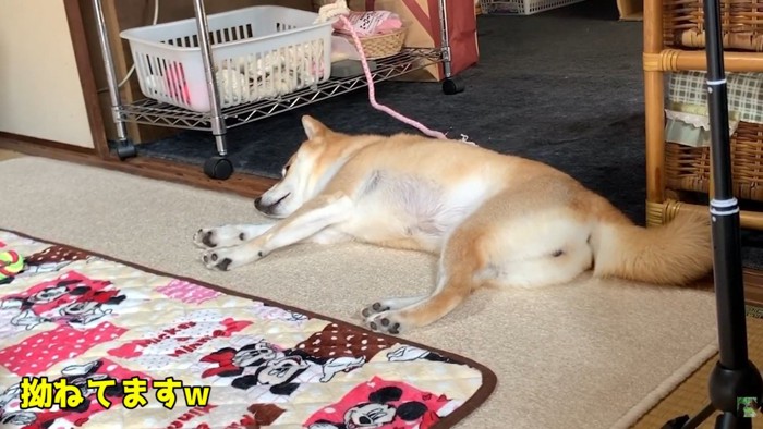 無視!