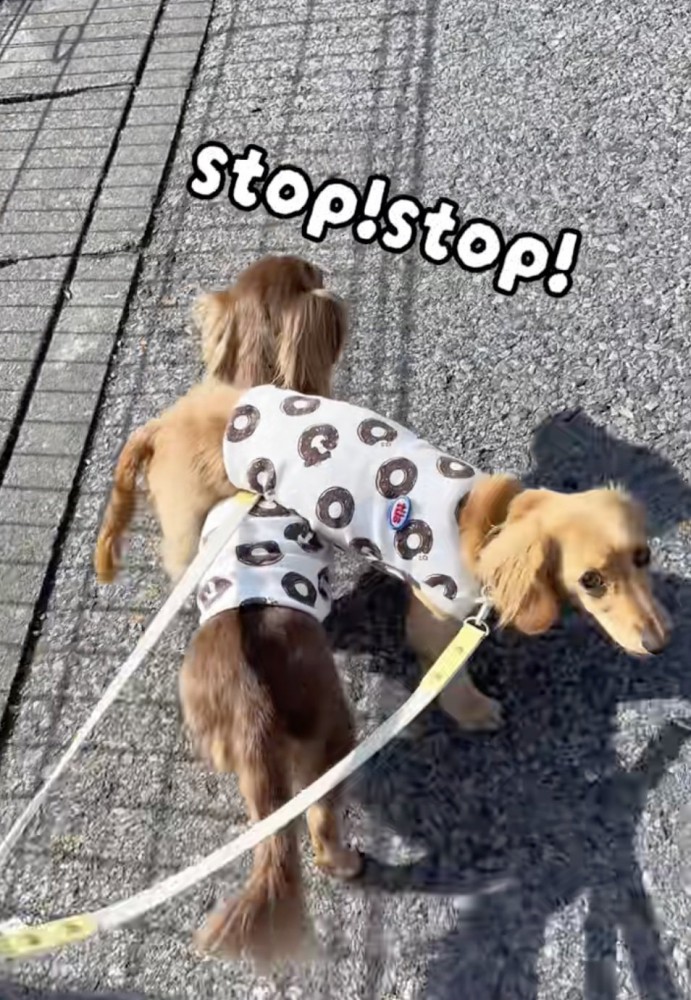 「たすけて!!」