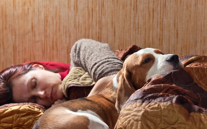 女性の足に頭を乗せて寝る犬