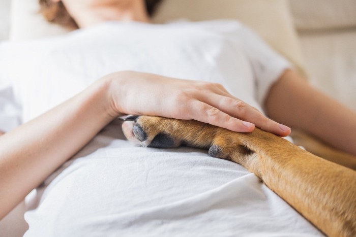 女性患者に寄り添う犬の前足