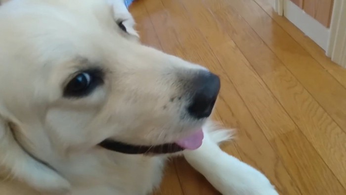 床でリラックス中