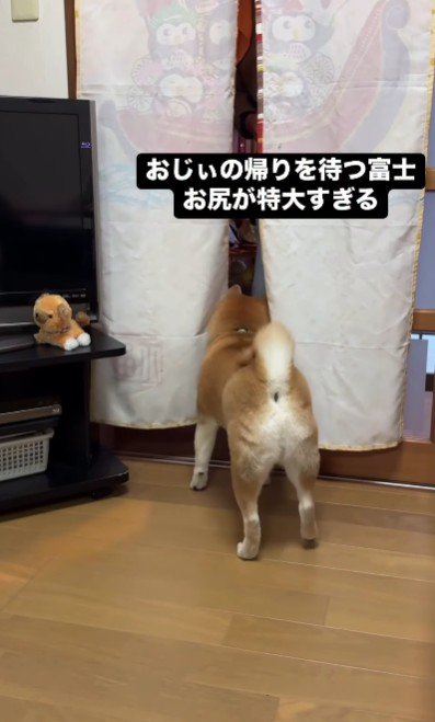 おじいちゃんが来ると…