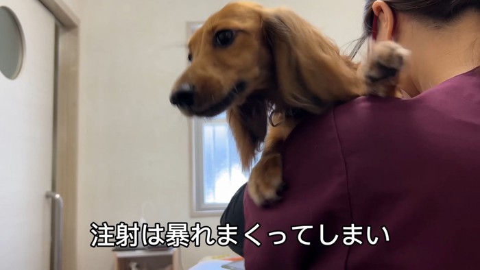 注射が嫌で大暴れ!