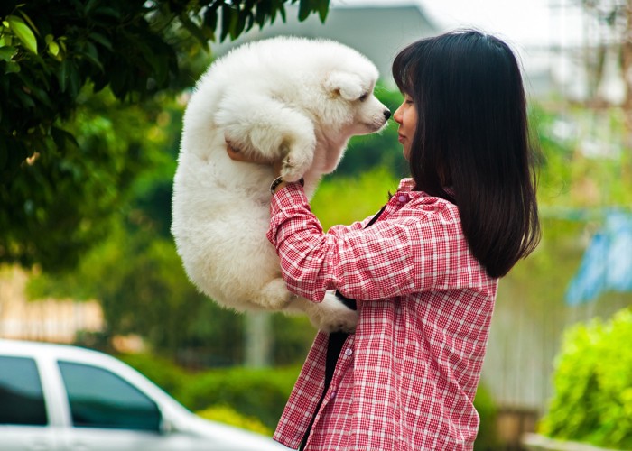 人と犬