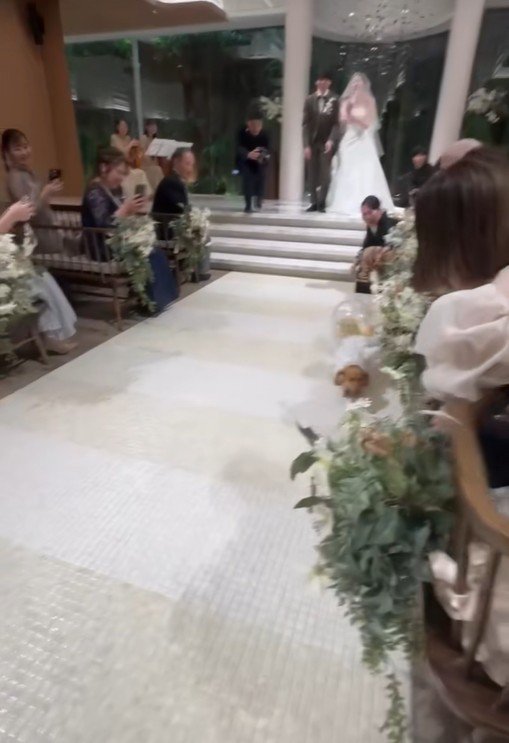 きなこちゃんがリングドッグに挑戦4