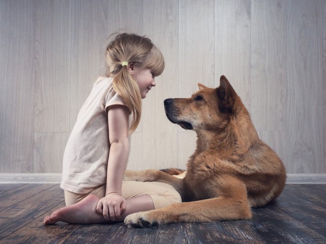 向き合う子どもと犬