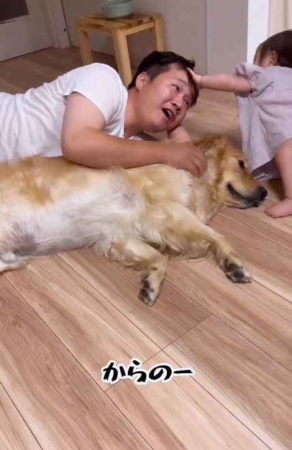 またパパを撫でる赤ちゃん