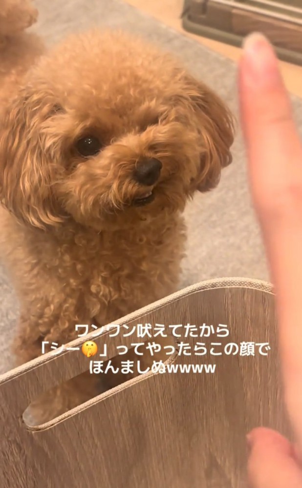 反抗的な表情