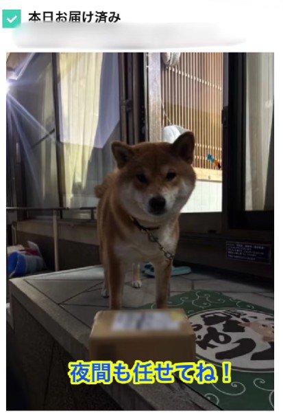 いつでも荷受けするよ♪