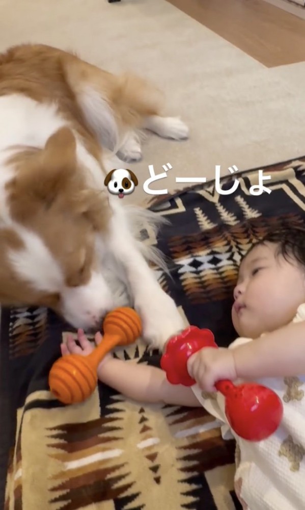 位置を調整中