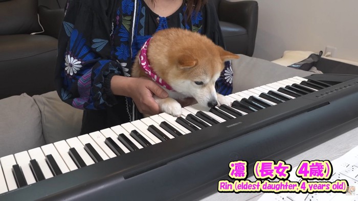 凛ちゃんは興味津々!