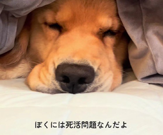 食べ物の恨みは大きい…
