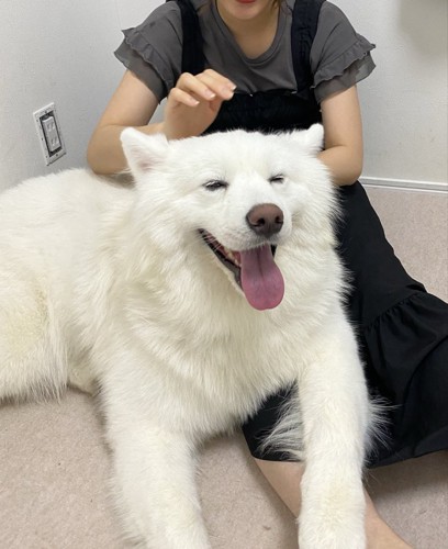 溶ける