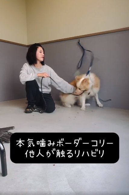 噛みつこうとするそらくん