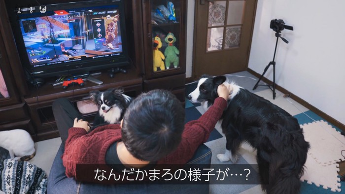 ゲームが終わってから撫でたら…