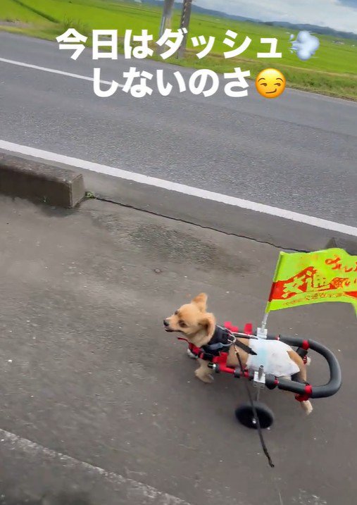 なんだか誇らしげ♪
