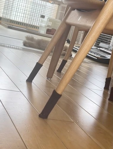 「やる気スイッチ」完全オフ。