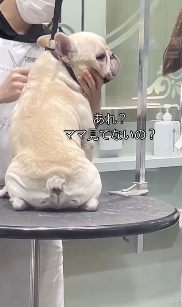 見てないの？