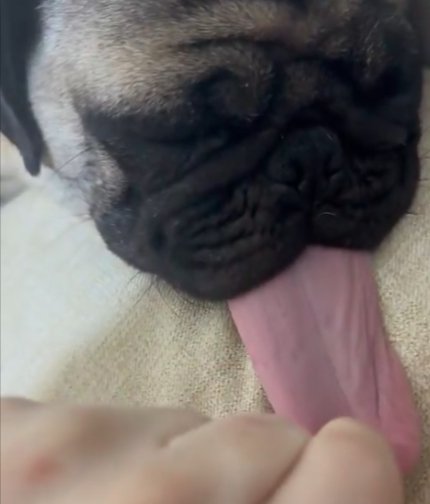 まだ