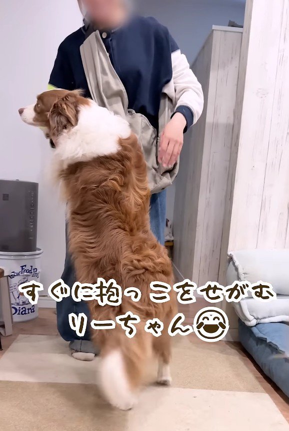 一生懸命おねだり
