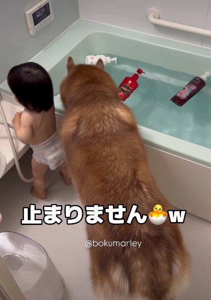 止まらないイタズラ