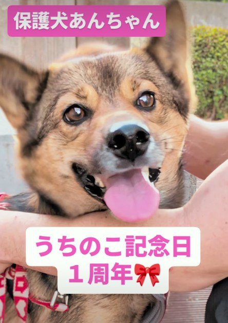 こんなに変わったよ！！