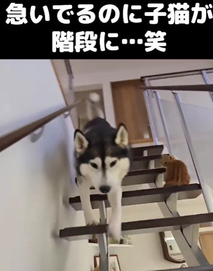 無事に1階へと出来た！