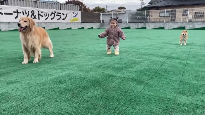 水を飲ませるのもお手の物!