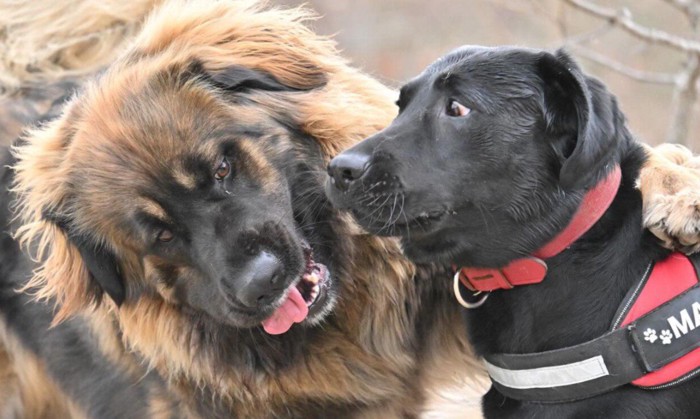 社交的なタイプです