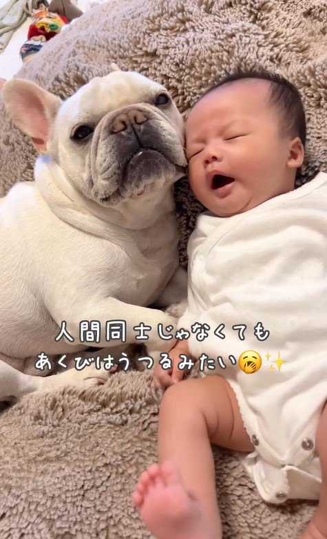 あくびがうつるほど仲良しな2人♪