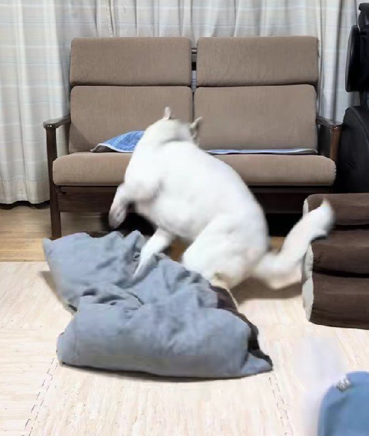 豪快に転倒！！