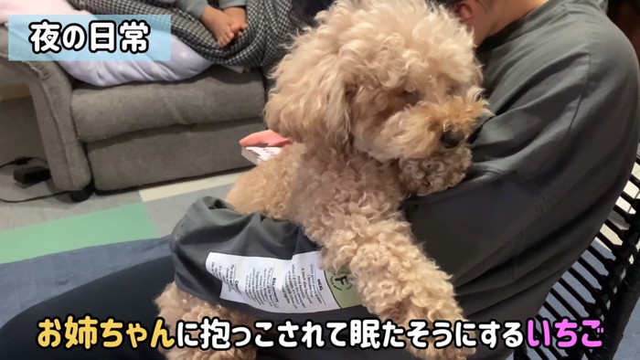 寝る前のいちごちゃん