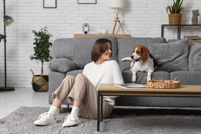 女性とソファに乗る犬