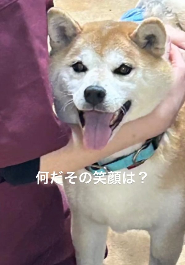 笑顔のまるちゃん