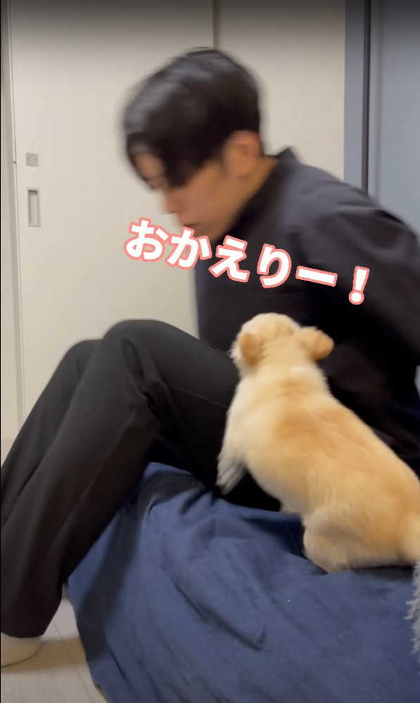 飼い主のすぐそばで前足を上げる犬