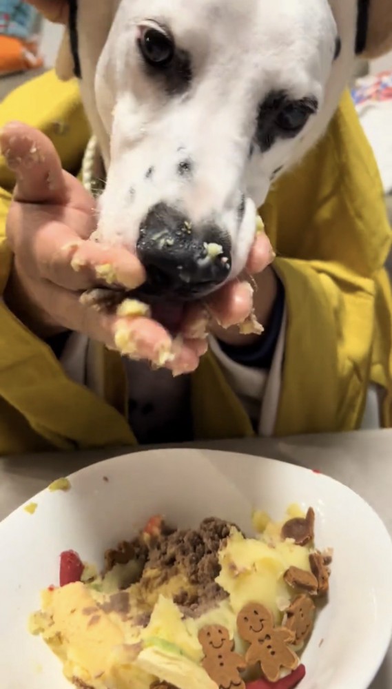 顔を近づけて夢中で食べる犬