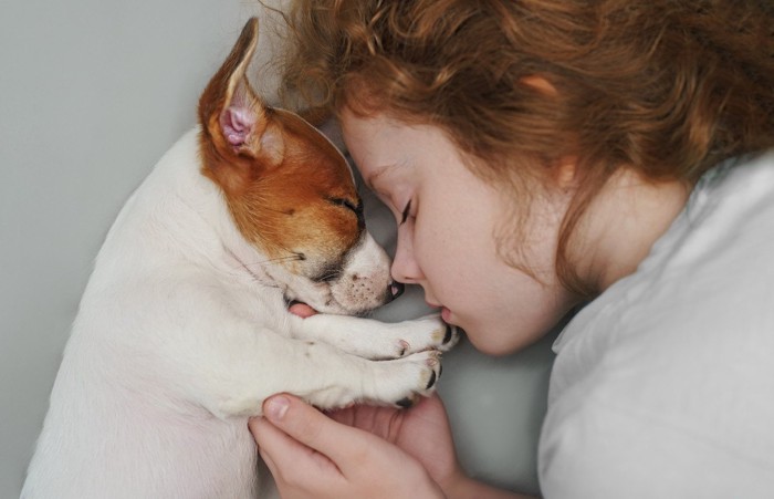 少女と顔を寄せて寝る犬