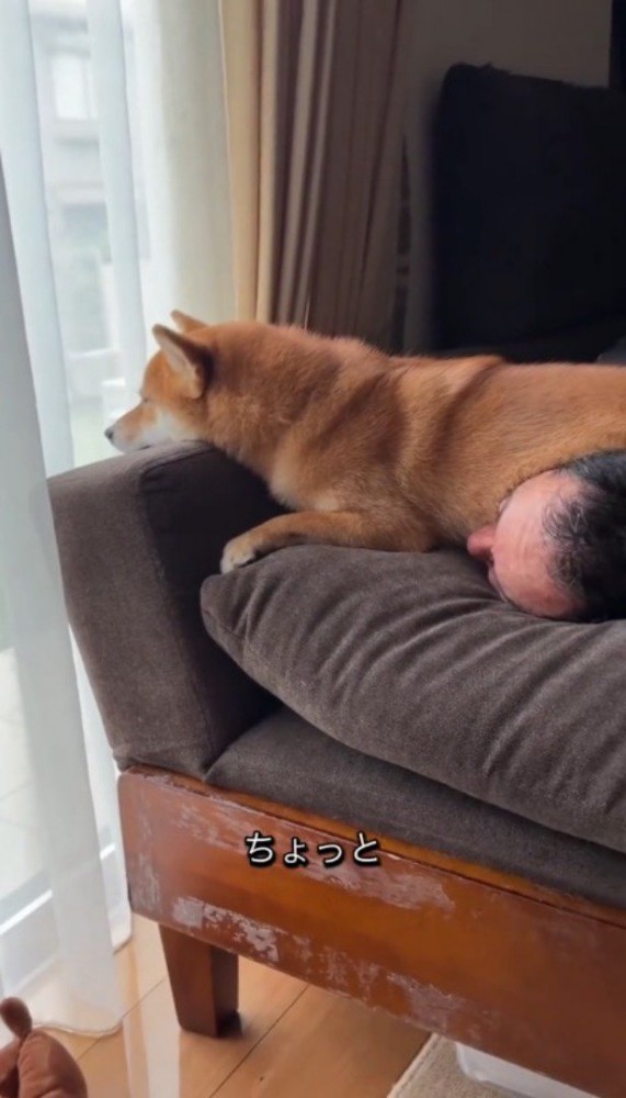自分の顔の上に乗っている犬に声をかける男性