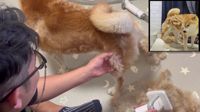 抜け毛が繋がってロープ状に！