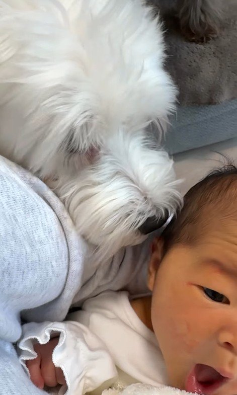 念入りに匂いをチェック