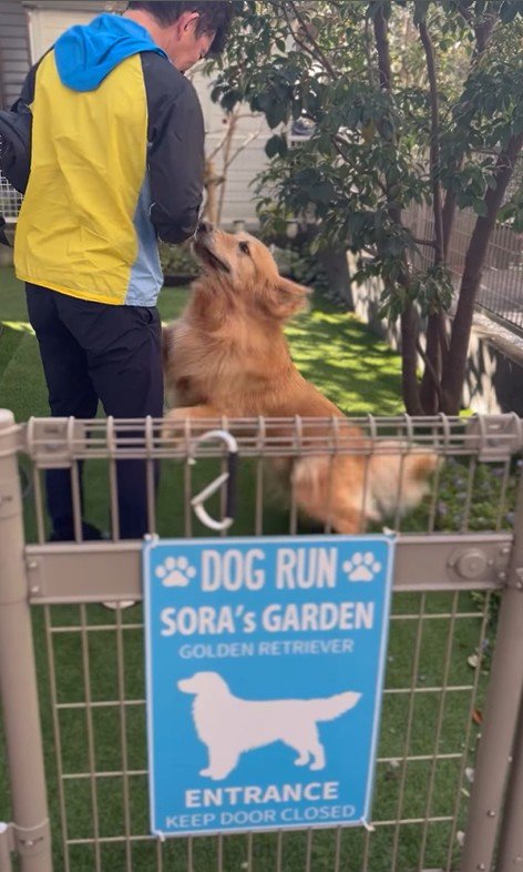 そら君とブリーダーさんの再会4