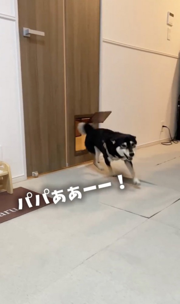 「会いたかったぁぁ」