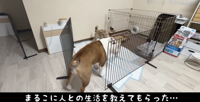 少しずつ、たくさんのことを教わります