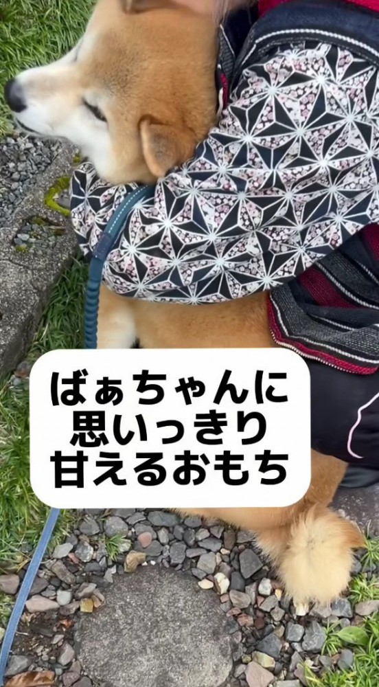 甘えるおもちちゃん